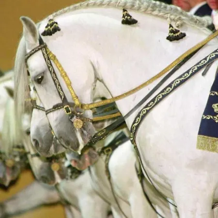 Semiloft Romantico Catedral Con Soleada Azotea Comunitaria * חרז