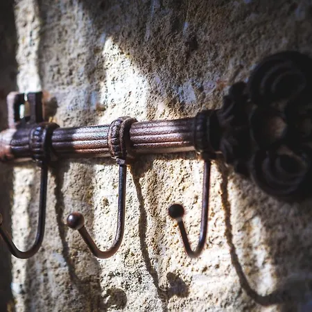 Semiloft Romantico Catedral Con Soleada Azotea Comunitaria Jerez de la Frontera